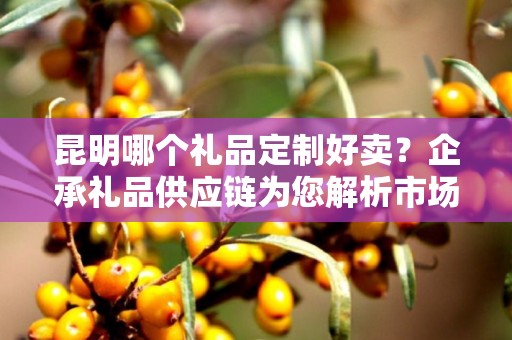 昆明哪个礼品定制好卖？企承礼品供应链为您解析市场趋势