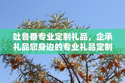 吐鲁番专业定制礼品，企承礼品您身边的专业礼品定制公司