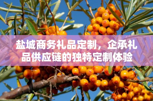 盐城商务礼品定制，企承礼品供应链的独特定制体验