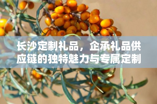长沙定制礼品，企承礼品供应链的独特魅力与专属定制体验