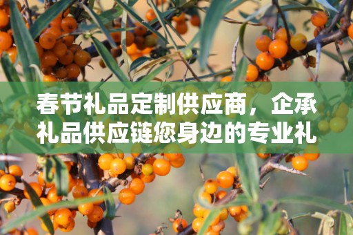 春节礼品定制供应商，企承礼品供应链您身边的专业礼品定制公司